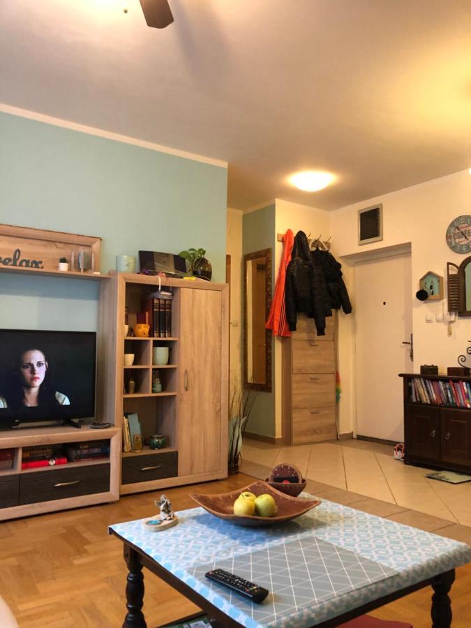 Cosy Apartment-Private Parking Zagreb Ngoại thất bức ảnh